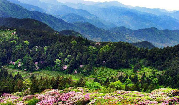 天台山风景