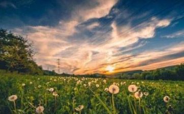 过清明节有什么意义 清明节又叫什么节