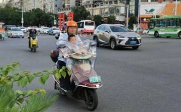 农历初三日出生的属龙人命运