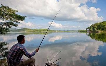 搬家老黄历 生肖狗2024年6月最佳搬家日期