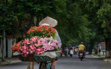 大雪节气的含义及风俗是什么