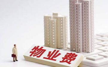 2025年1月24日幸运颜色及含义 2025年1月24日五行穿衣指南