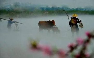 出门被泼水是什么兆头 被水泼到预兆