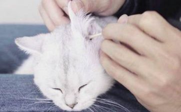 2024年4月21日生肖猴五行穿衣指南