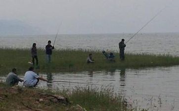 流浪猫进家的风水说法 野猫赖在家里不走怎么办