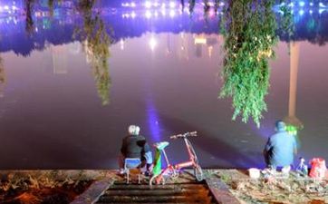 东风夜放花千树更吹落星如雨是什么节日