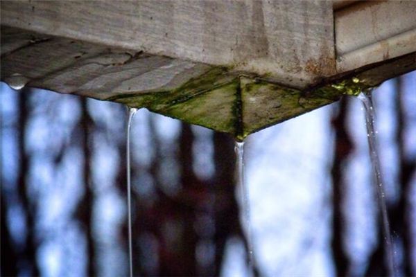 梦见屋里漏雨是什么意思