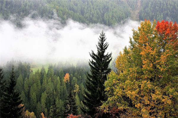 梦见山上下雨是什么意思