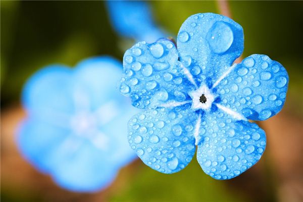 梦见雨停了是什么意思