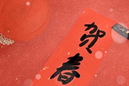 2020春节对联欣赏 七字作品