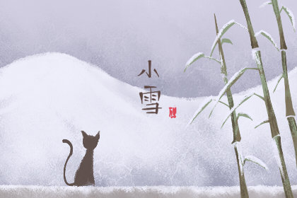 小雪吃什么最好 有哪些食物呢